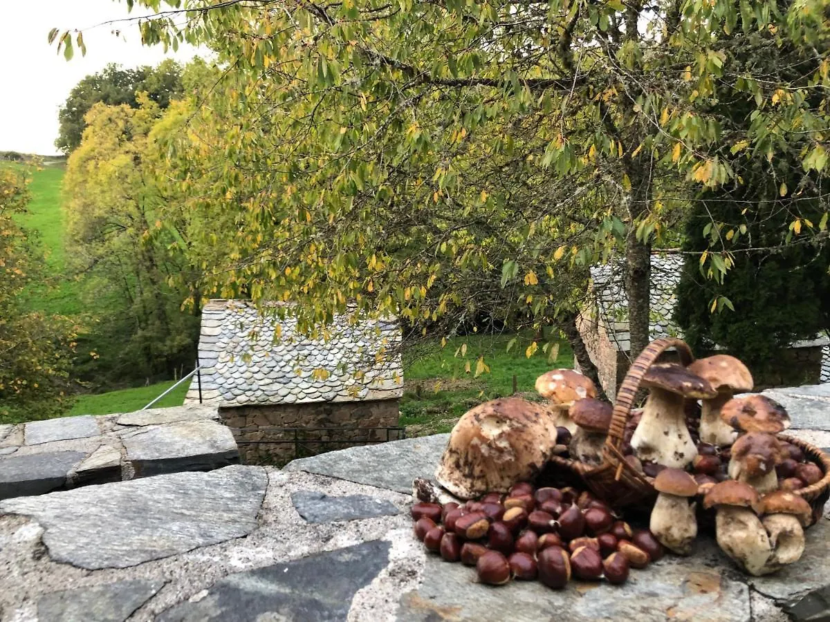La Maison De Mon Pere Le Nayrac